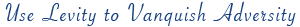 Use Levity to Vanquish Adversity